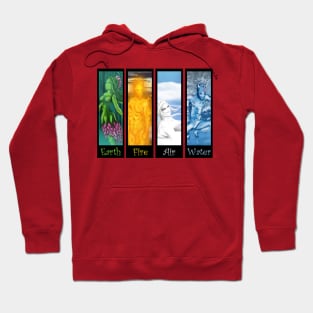 Elements Hoodie